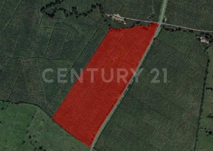 Urabá, Antioquia 057847, Colombia