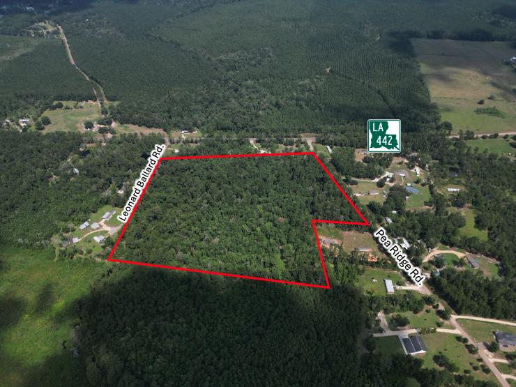 Tbd Pea Ridge Rd, Albany, Louisiane 70711, États-Unis