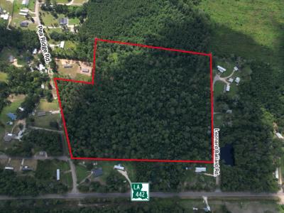 Tbd Pea Ridge Rd, Albany, Louisiane 70711, États-Unis