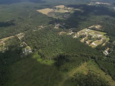 Tbd Pea Ridge Rd, Albany, Louisiane 70711, États-Unis