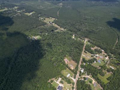 Tbd Pea Ridge Rd, Albany, Louisiane 70711, États-Unis