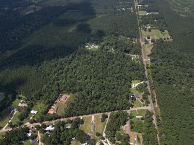 Tbd Pea Ridge Rd, Albany, Louisiane 70711, États-Unis