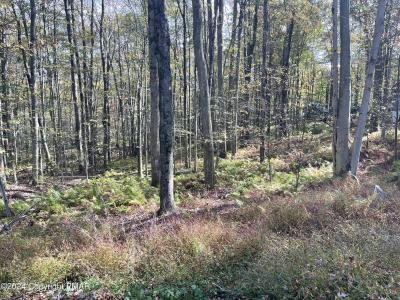 Mountain Ash Lane, White Haven, Pennsylvania 18661, Estados Unidos