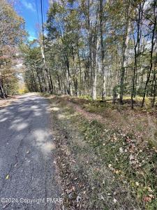 Mountain Ash Lane, White Haven, Pennsylvania 18661, Estados Unidos