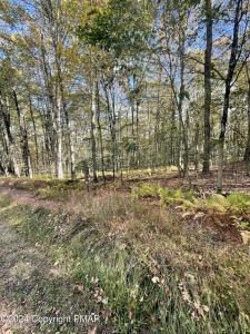 Mountain Ash Lane, White Haven, Pennsylvania 18661, Estados Unidos