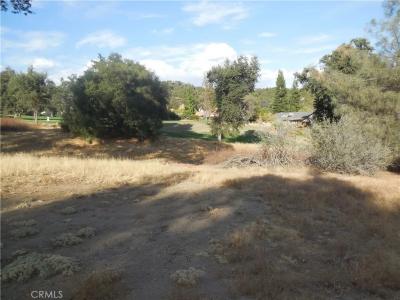 1.01 Acre Griffin Dr, Oakhurst, California 93644