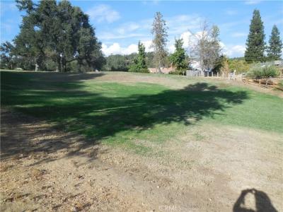 1.01 Acre Griffin Dr, Oakhurst, California 93644