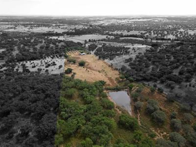 Montemor O Novo, Evora 7050-001, Portugal