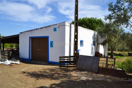Montemor O Novo, Evora 7050-001, Portekiz