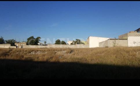 Rio Florido 18 y 19,, Camargo, 奇瓦瓦 33720, 墨西哥