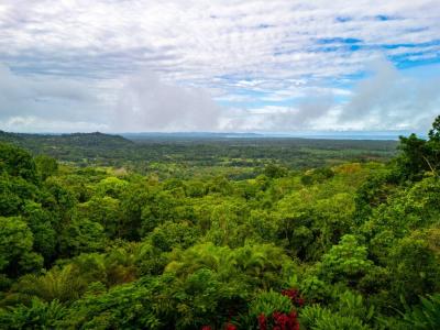 San buenaventura , Puerto Cortés Osa, Puntarenas 00001, Costa Rica