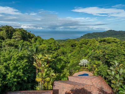 camino escaleras , Savegre Quepos, Puntarenas 00001, 哥斯達尼加