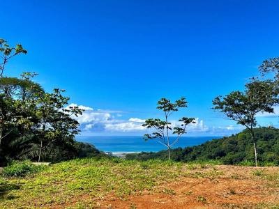 Dominical Bahía Ballena Osa, Puntarenas 00001, コスタリカ