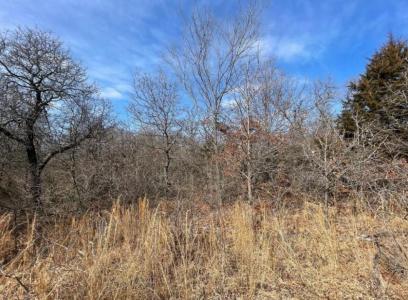 0 Lot 9 Toad Road, Harrah, Oklahoma 73045, États-Unis