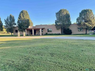 3982 South Springs Loop, Roswell, NM 88203, USA