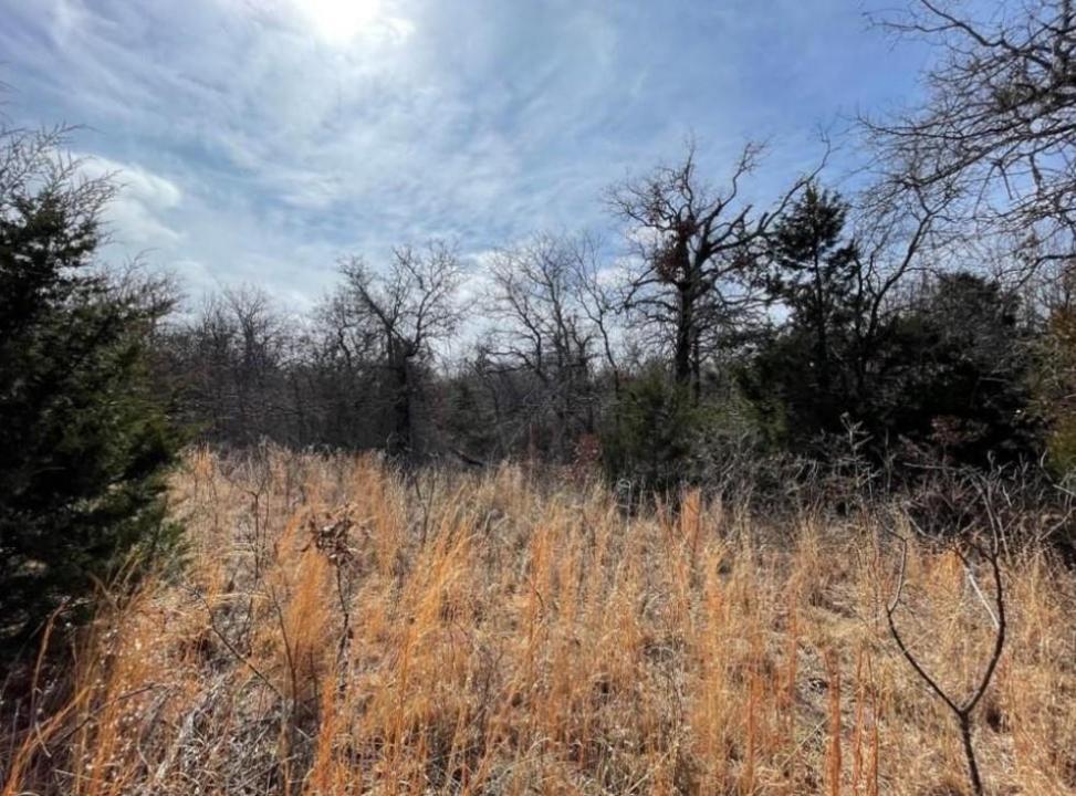 0 Lot 14 Toad Road, Harrah, Oklahoma 73045, États-Unis