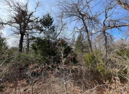 0 Lot 14 Toad Road, Harrah, Oklahoma 73045, États-Unis