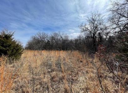0 Lot 14 Toad Road, Harrah, Oklahoma 73045, États-Unis