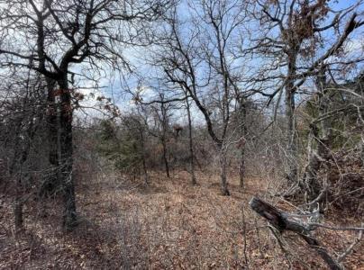 0 Lot 14 Toad Road, Harrah, Oklahoma 73045, États-Unis