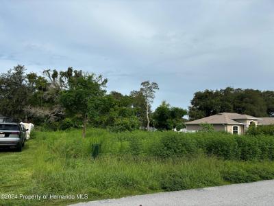 Lot 17 Channing Avenue, Spring Hill, Floride 34608, États-Unis
