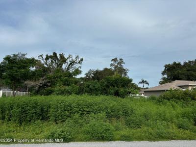 Lot 17 Channing Avenue, Spring Hill, Floride 34608, États-Unis