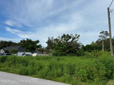 Lot 17 Channing Avenue, Spring Hill, Floride 34608, États-Unis