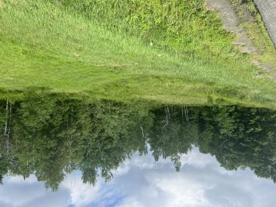 Lot #5 Moosehead Trail, Newport, Maine 04953, USA