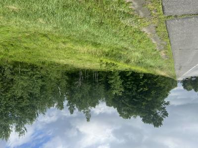 Lot #5 Moosehead Trail, Newport, 缅因州 04953, 美国