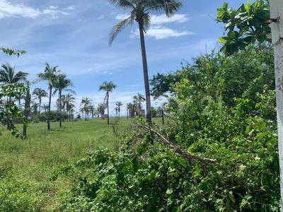 Carretera Barra- Pie de la Cuesta 292 Z-3 P2/2,, Coyuca De Benítez, Guerrero 40989, México