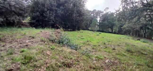 Barcelos, Braga 4755-101, Portugal