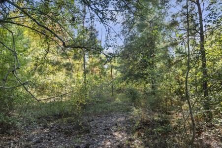 R32313 Sandy Creek Road, Zavalla, 텍사스 75980, 미국