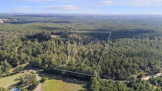 R32307 Sandy Creek Road, Zavalla, Texas 75980, USA