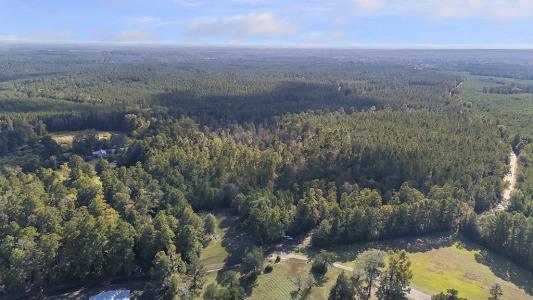 R32307 Sandy Creek Road, Zavalla, Texas 75980, USA