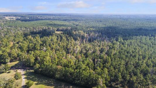 R38080 Sandy Creek Road, Zavalla, Texas 75980, USA