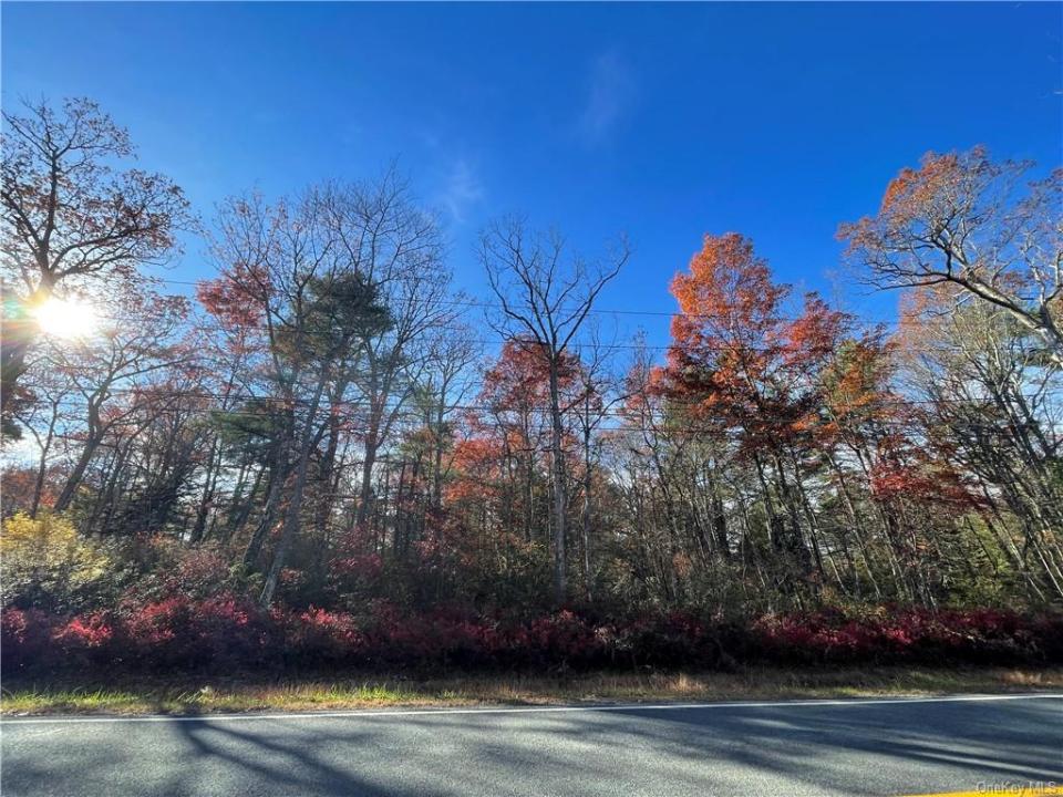 Forestburgh Road    Lot 84, Glen Spey, New York 12737