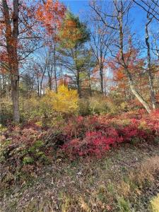 Forestburgh Road    Lot 84, Glen Spey, New York 12737