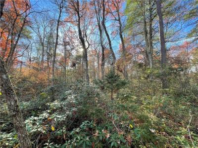 Forestburgh Road    Lot 84, Glen Spey, New York 12737