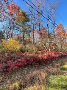Forestburgh Road    Lot 84, Glen Spey, New York 12737