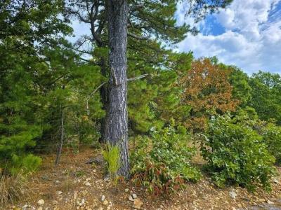 13523 E 586 Road, Peggs, Oklahoma 74452