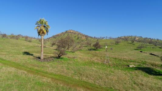 6147  Indian Gulch, Mariposa, California 95338, Estados Unidos