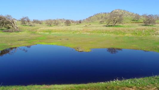 6147  Indian Gulch, Mariposa, California 95338, Estados Unidos