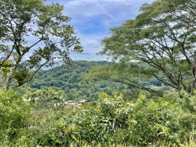 Dominical Osa, Puntarenas 60504, 哥斯達尼加