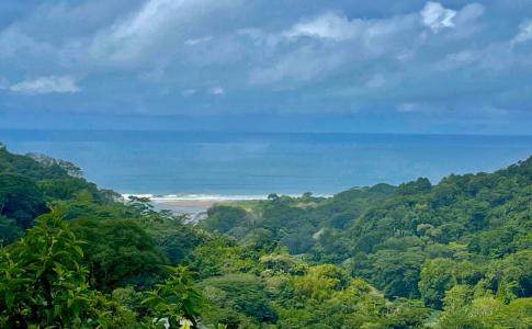 Dominical Osa, Puntarenas 60504, 哥斯達尼加