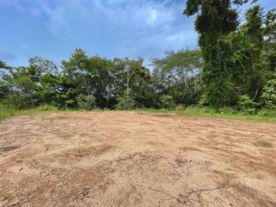 Dominical Osa, Puntarenas 60504, 哥斯達尼加