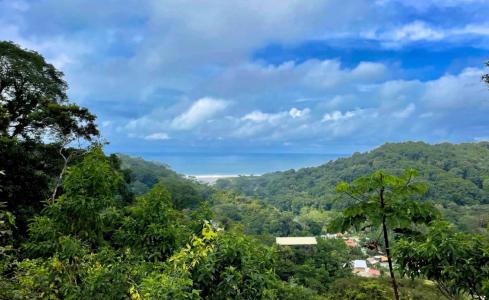 Dominical Osa, Puntarenas 60504, 哥斯達尼加