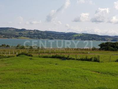Calima, Valle Del Cauca 00001, Colombia