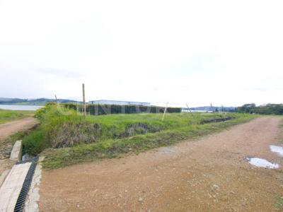 Calima, فاييه دي كوكا 00001, كولومبيا 