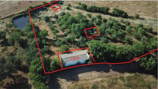 Almodôvar, 베자 7700-000, 포르투갈