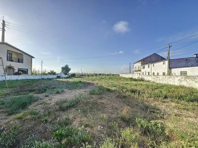 Lourinhã, Lisbonne 2460-873, Portugal