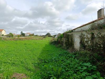 Mafra, Lizbona 2640-303, Portugalia